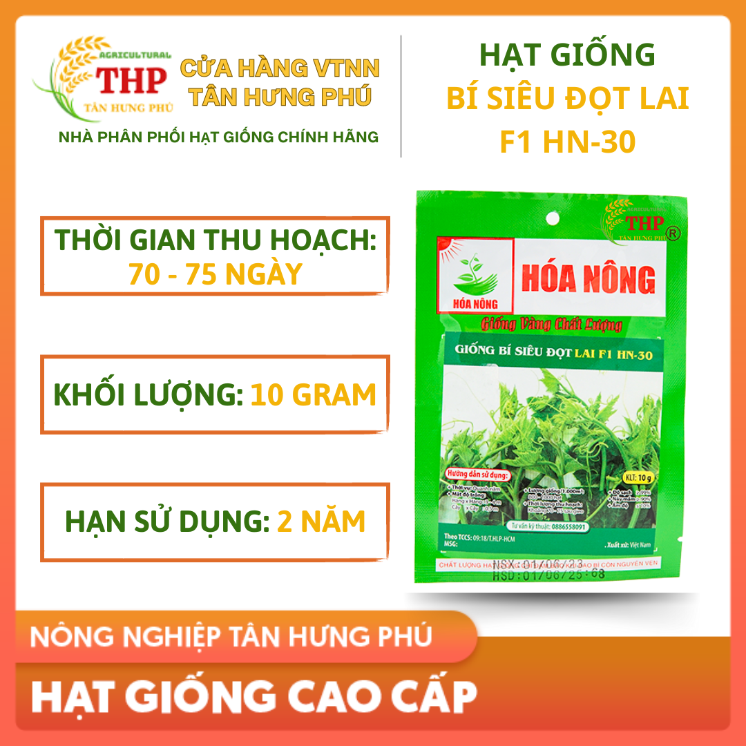 Hạt giống Bí Siêu Đọt Lai F1 HN-30 | Hạt giống | gói 10gr