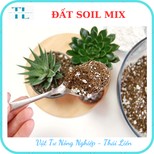 Đất Soil Mix chuyên trồng sen đá xương rồng kích rễ tăng trưởng, Đất chuyên dụng cho sen đá xứ nóng