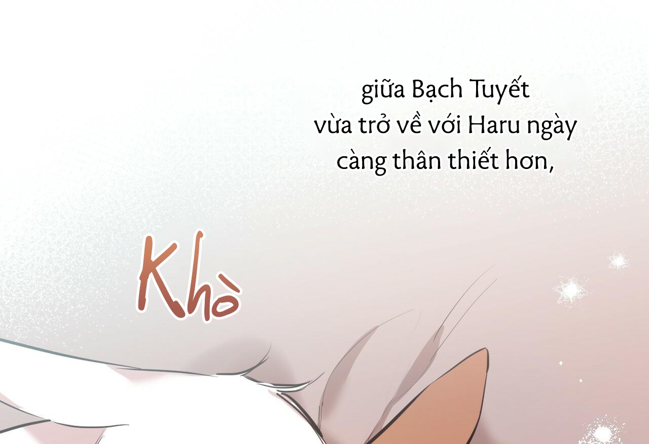 đàn thỏ của habibi chapter 28 40