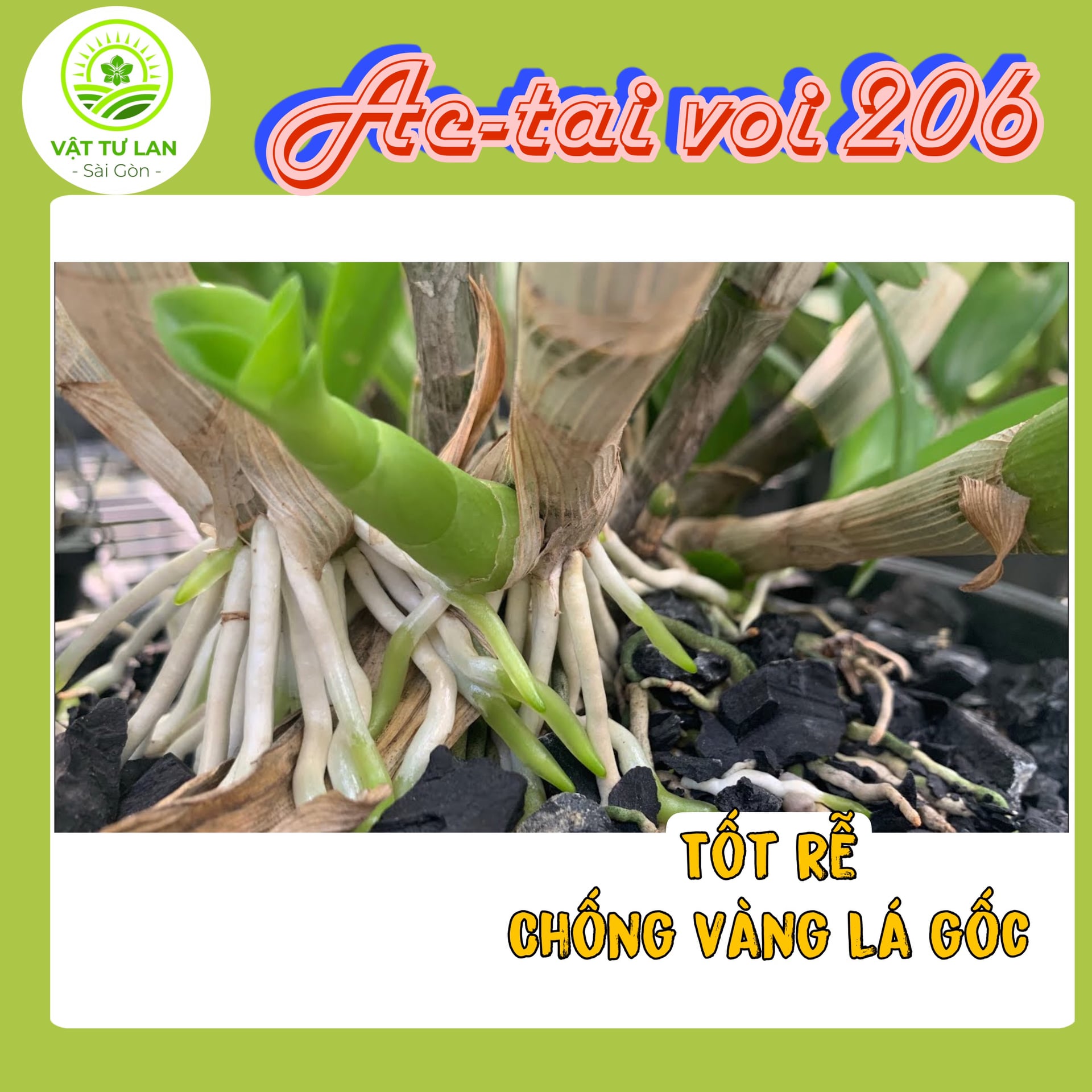 Phân Bón Vi Lượng AC-TAI VOI 206
