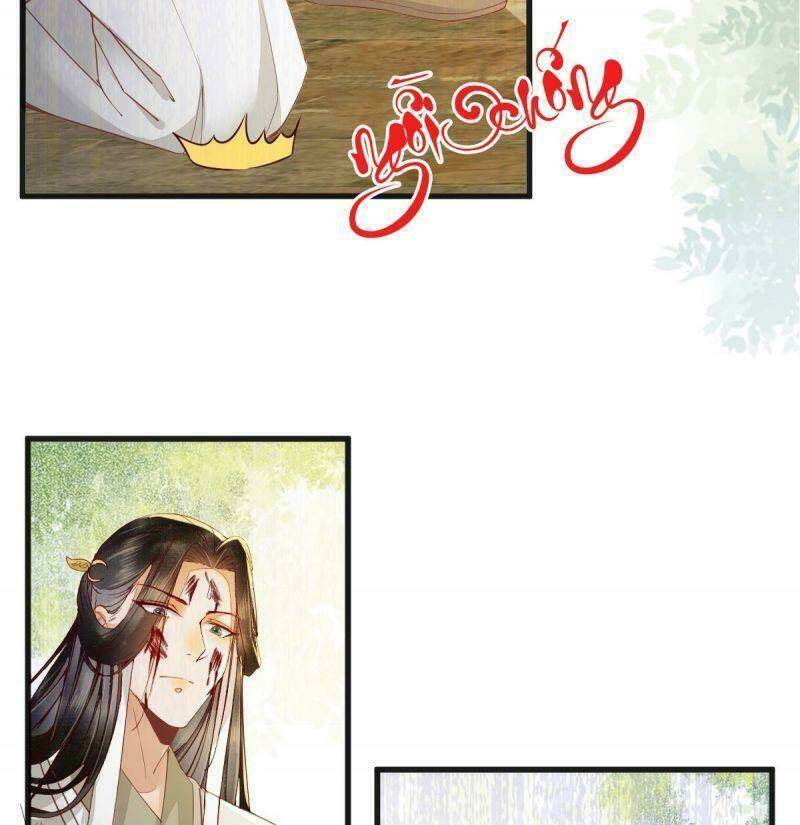 sát thủ vương phi không dễ chọc chapter 27 33