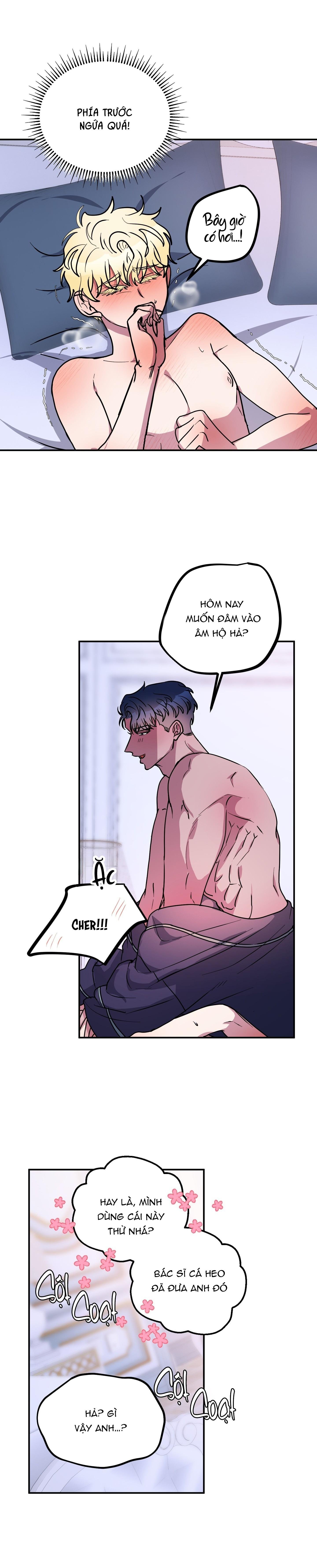 cá mập và cô dâu thỏ chapter 50 11