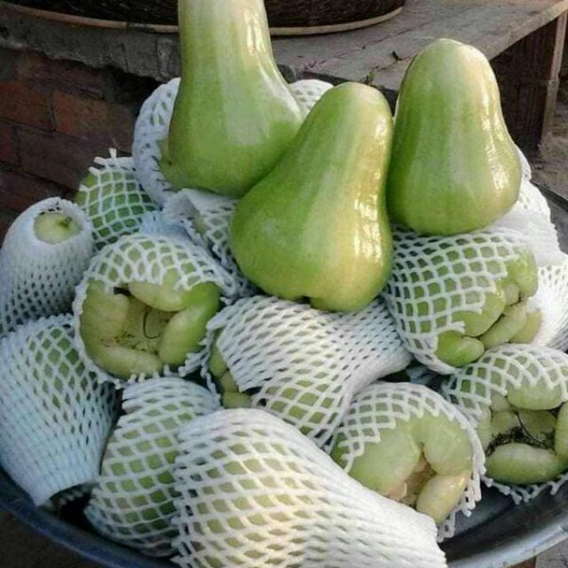 CÂY GIỐNG MẬN XANH ĐƯỜNG
