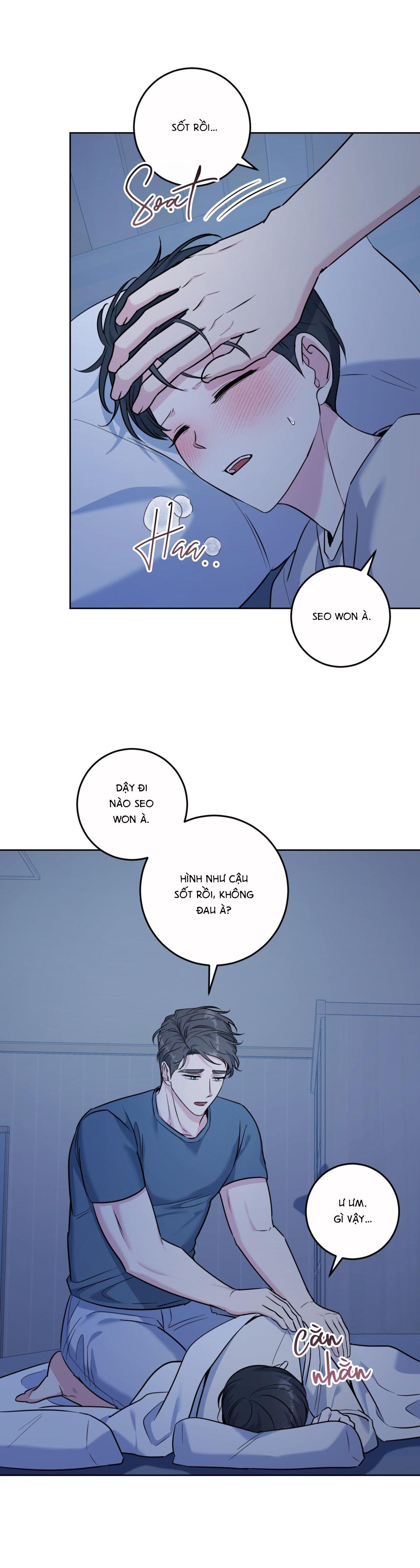 khu rừng tĩnh lặng chapter 21 25