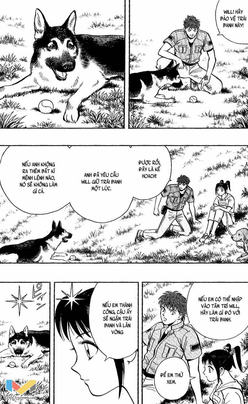 animal sense chapter 4 13