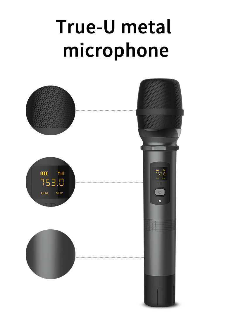 Loa Karaoke Bluetooth công suất lớn 120W 2 mic không dây Wking - Hàng chính hãng