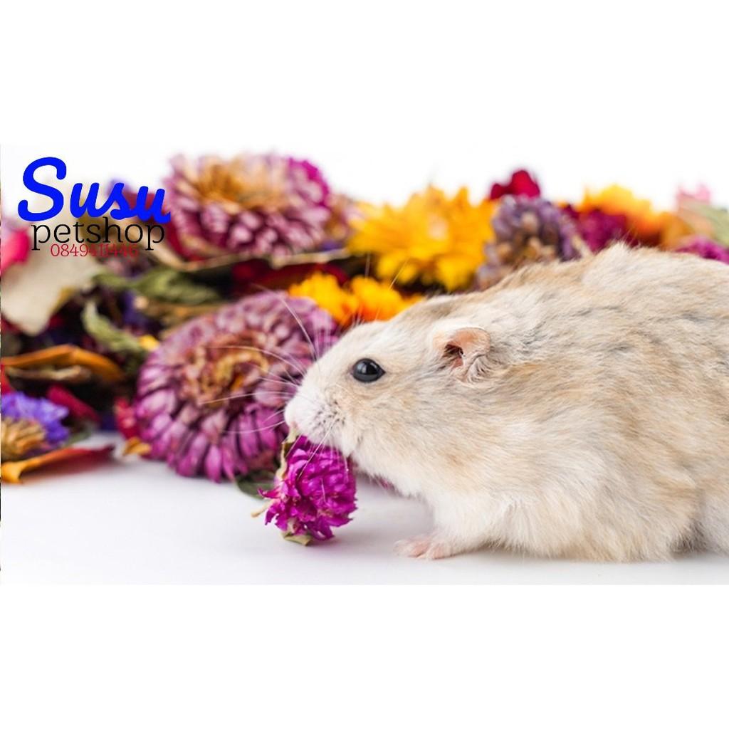 Hoa khô lót chuồng cho hamster