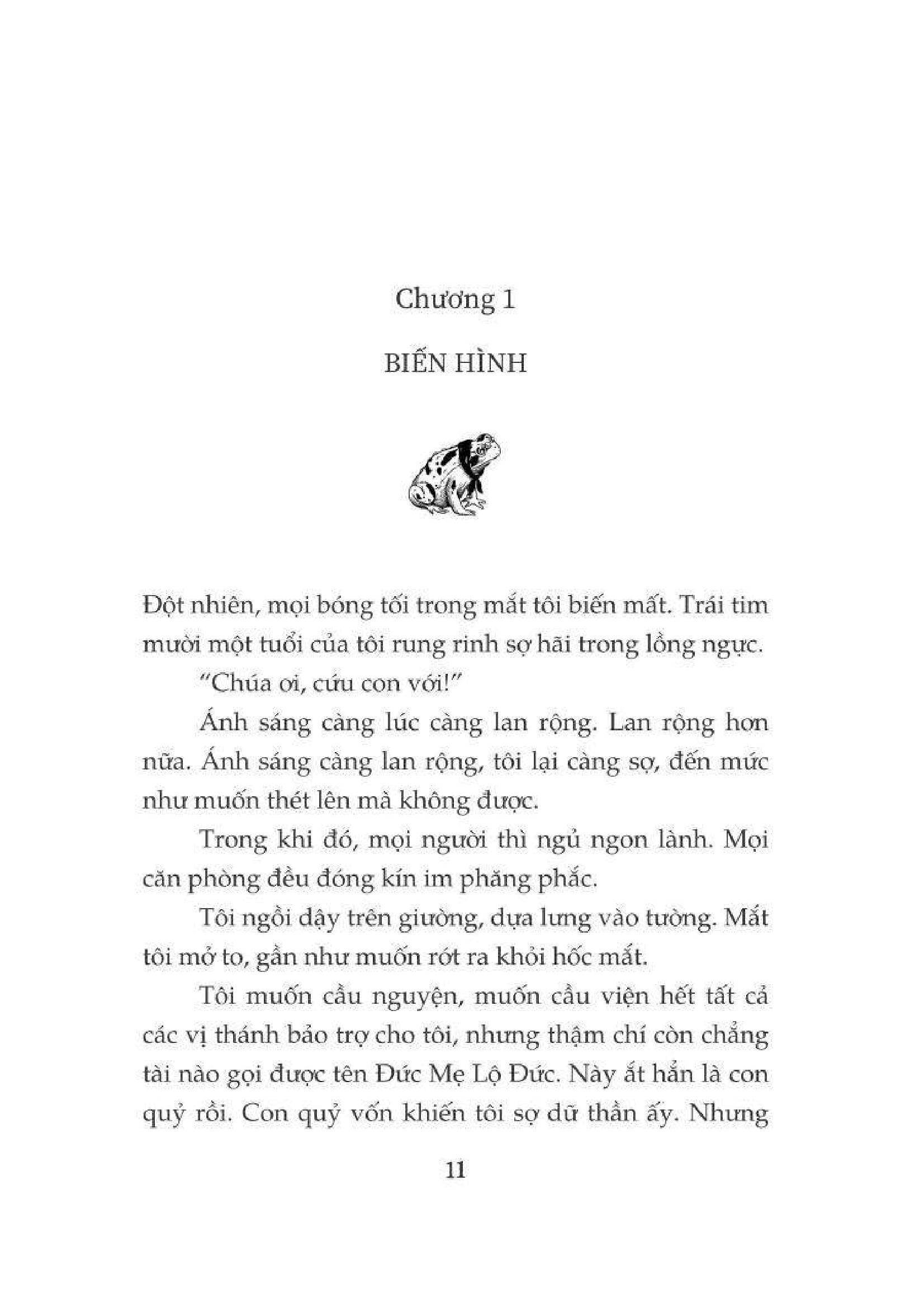Sưởi Ấm Mặt Trời - Phần Tiếp Theo Của Cây Cam Ngọt Của Tôi