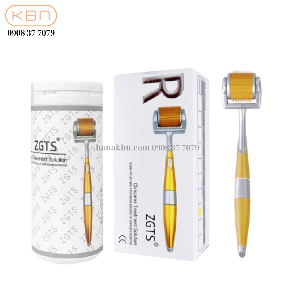 COMBO 10 CÂY LĂN KIM CẦM TAY