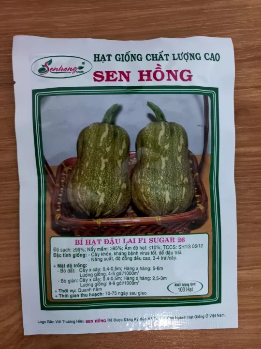 Hạt giống bí hạt đậu Sugar 26 Sen Hồng 100 hạt