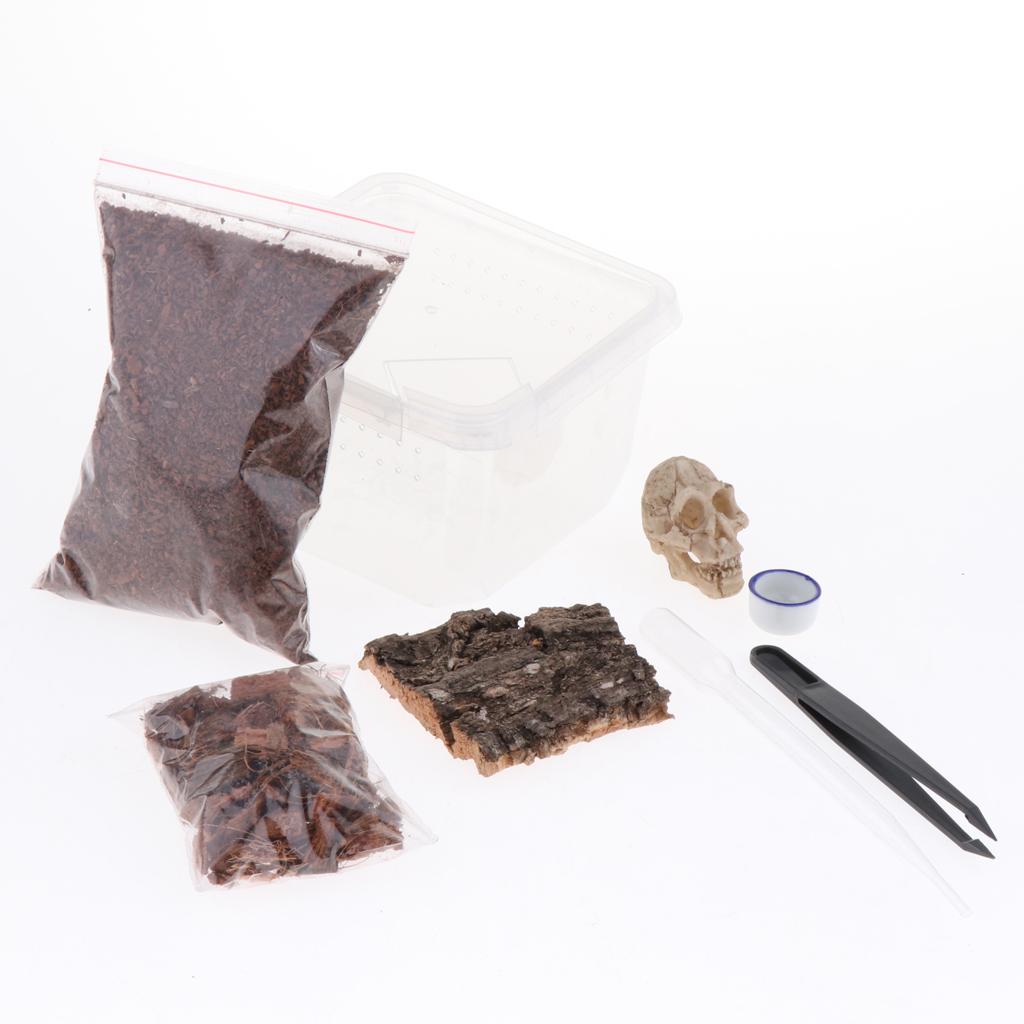 Reptiles Terrariums Feeding Box for Spider Insect Cricket Snail Frog L