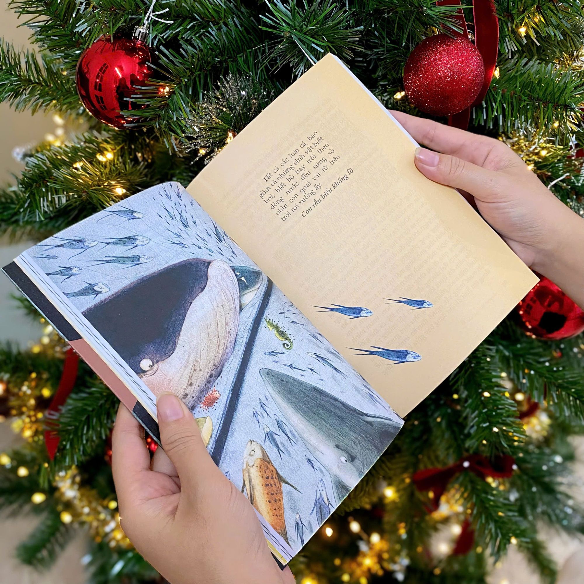 Tổng tập truyện cổ tích Andersen: Chú lính thiếc dũng cảm - TIMES - Andersen