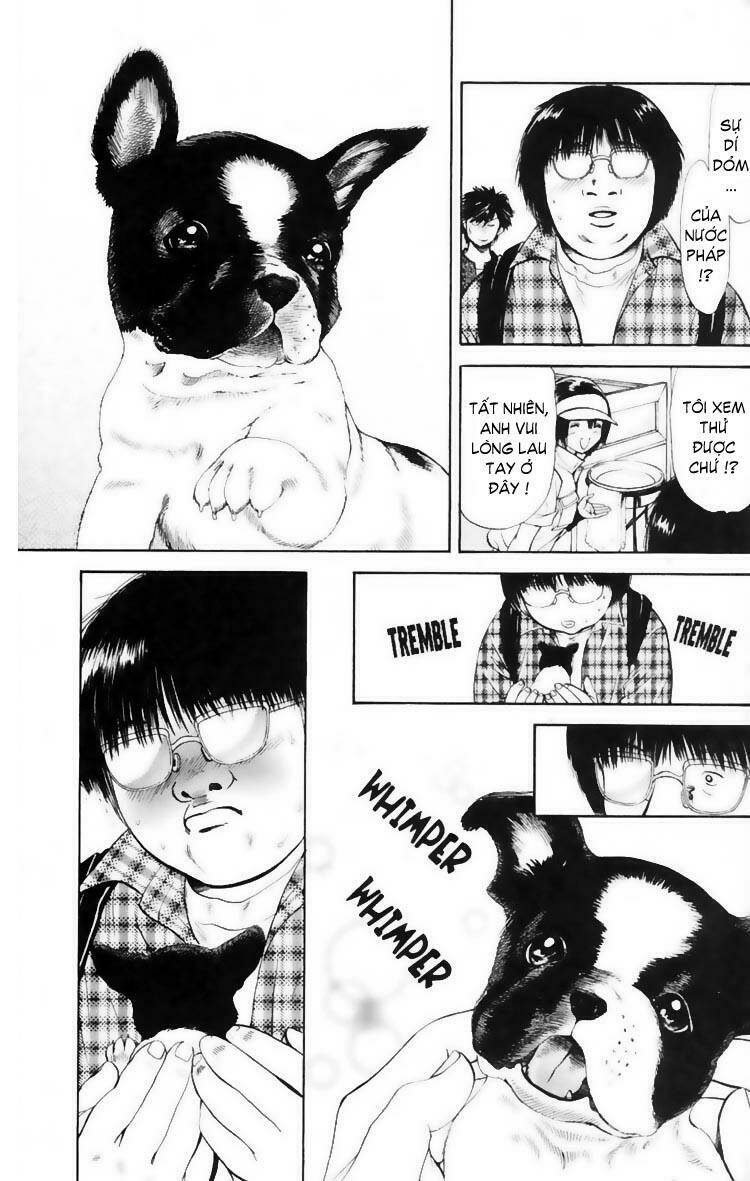 cô nàng yêu chó chapter 9 18