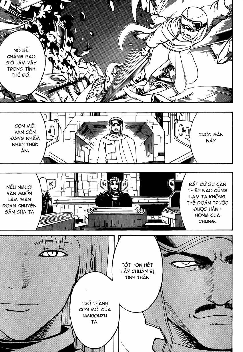 gintama - linh hồn bạc chapter 556 3