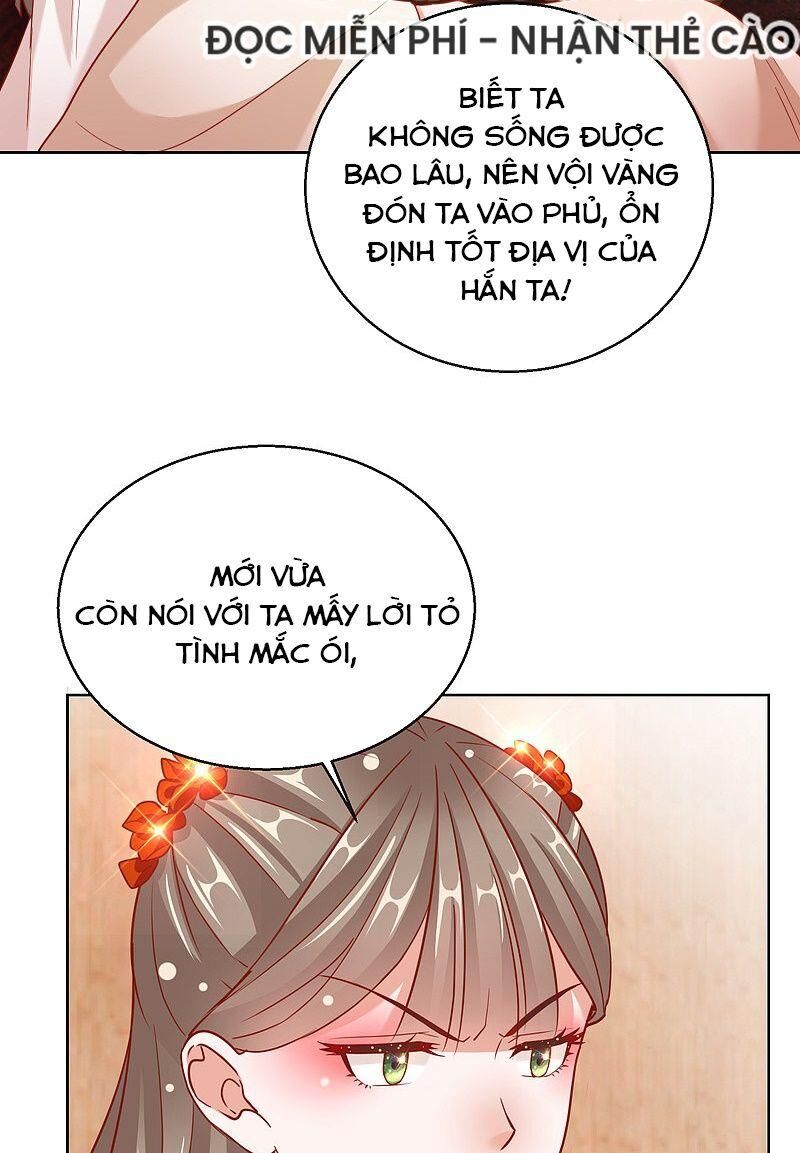 công lược trưởng thành của vương phi chapter 27 34