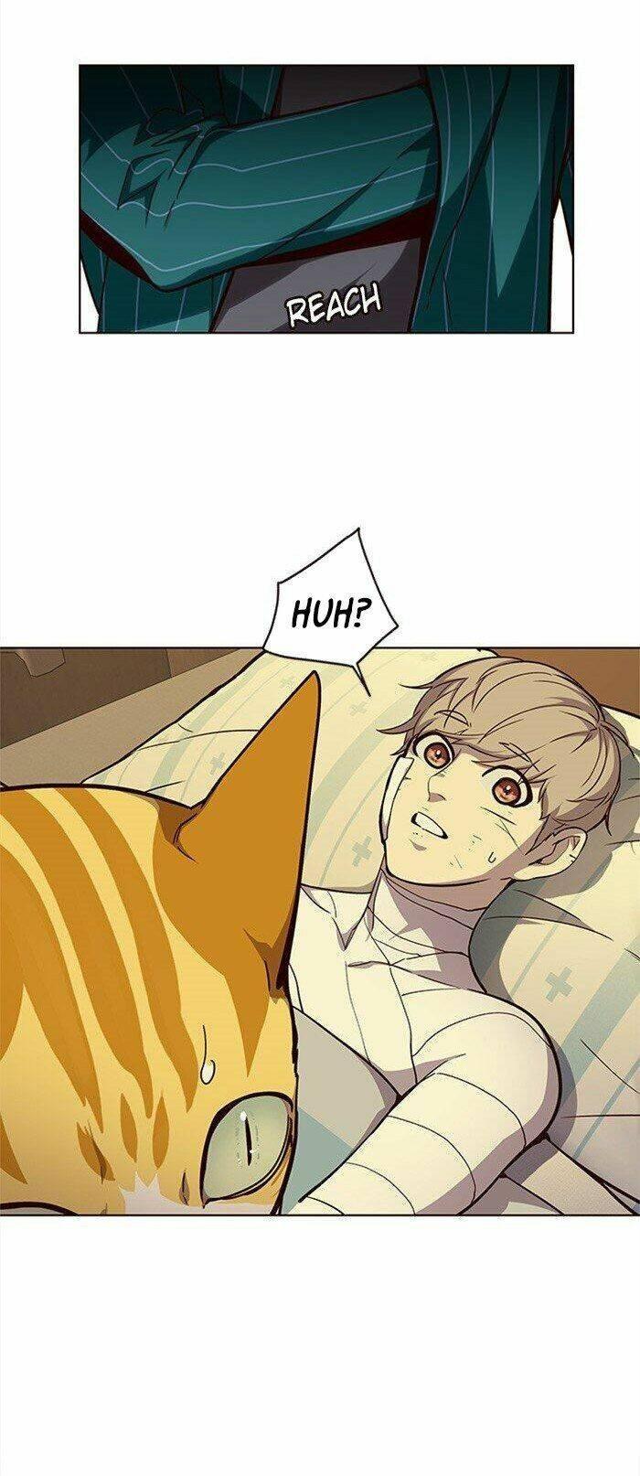 biến thân thành mèo chapter 29 28