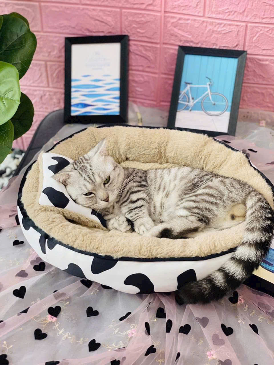 NỆM BÒ SỮA TRÒN SIÊU ÊM MỀM MỊN DƯỚI 6KG DÀNH CHO THÚ CƯNG CHÓ MÈO