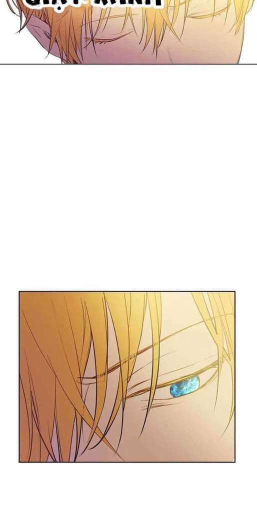 một ngày nọ tôi bỗng thành nàng công chúa chapter 62 13