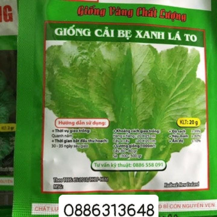 Giống bẹ xanh lá to