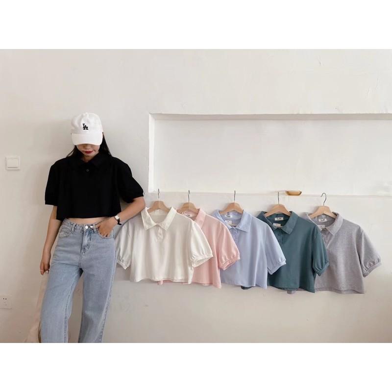 Áo polo croptop trơn basic- hàng Quảng Châu