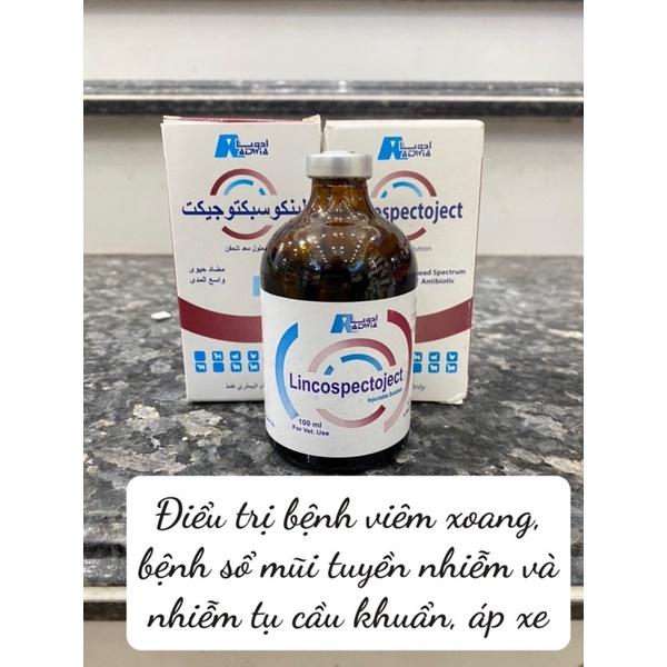 1 lọ LINCOSPECTOJECT dùng cho gà chọi, gà tây, chó mèo, trâu bò lợn bị viêm xoang, khò khè, sổ mũi áp xe