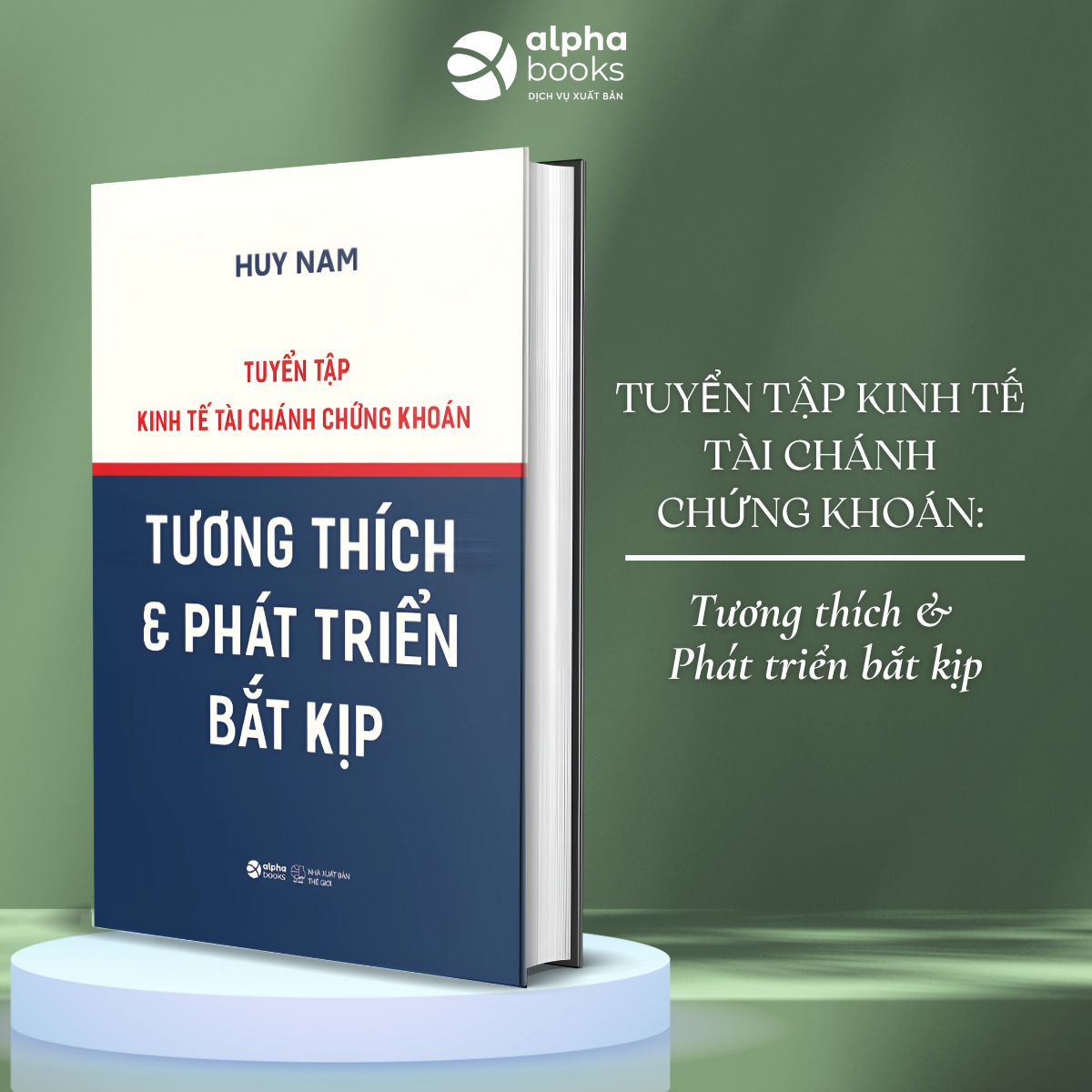 Tuyển Tập Kinh tế Tài Chánh Chứng Khoán - Tương Thích &amp; Phát Triển Bắt Kịp (Huy Nam)