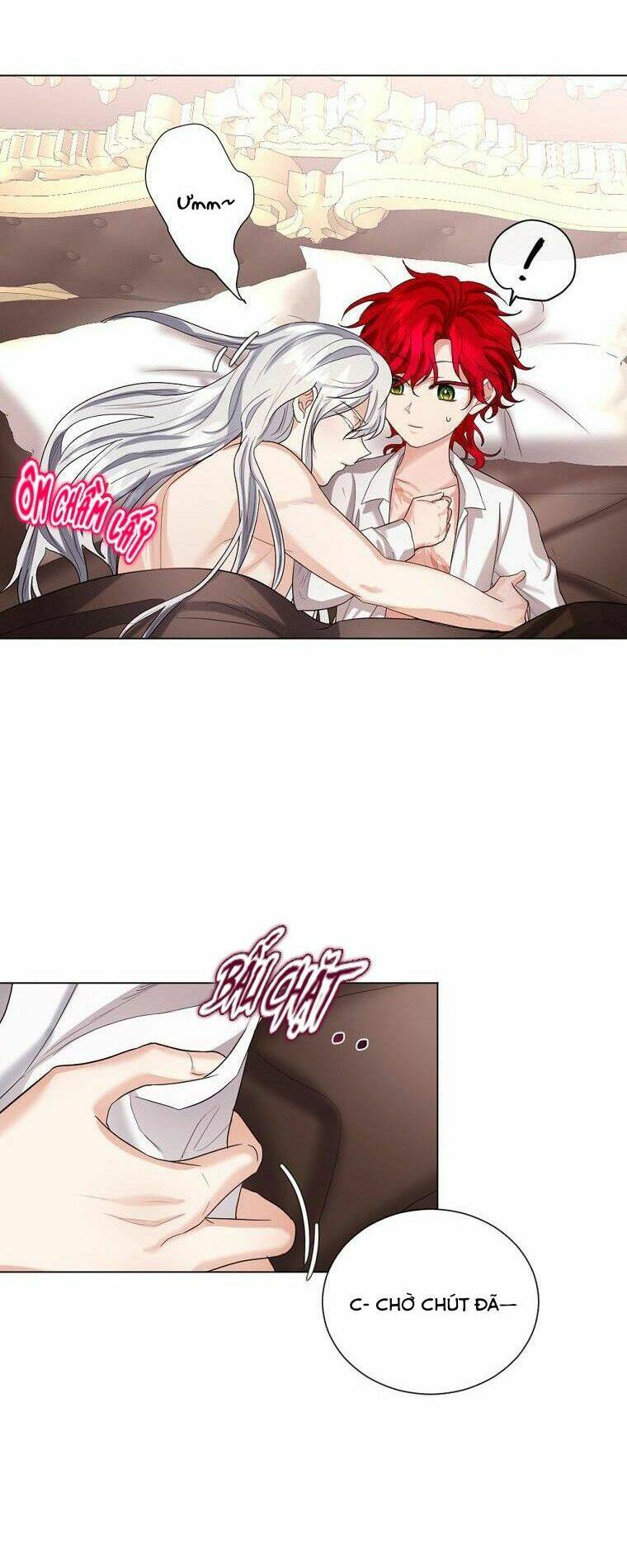 cuộc hôn nhân hợp đồng của công tước ashleyan chapter 13 50