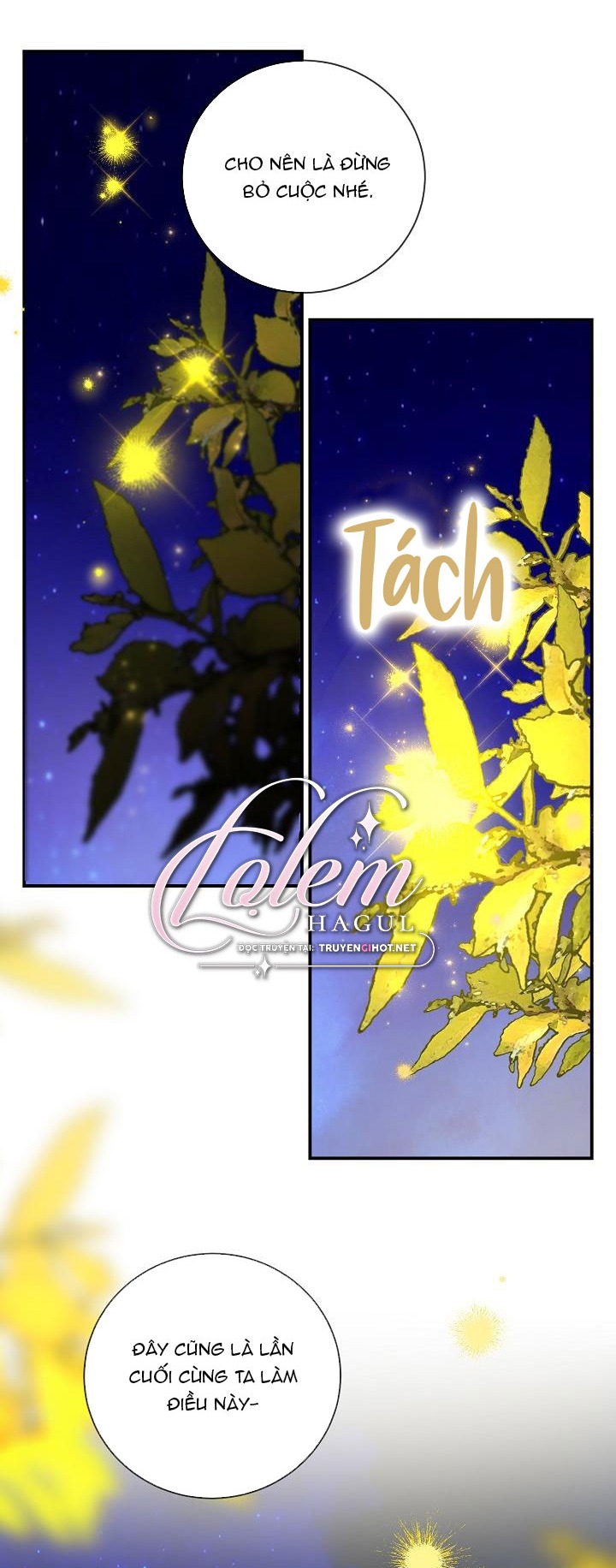 hướng đến ánh dương một lần nữa chapter 73 44