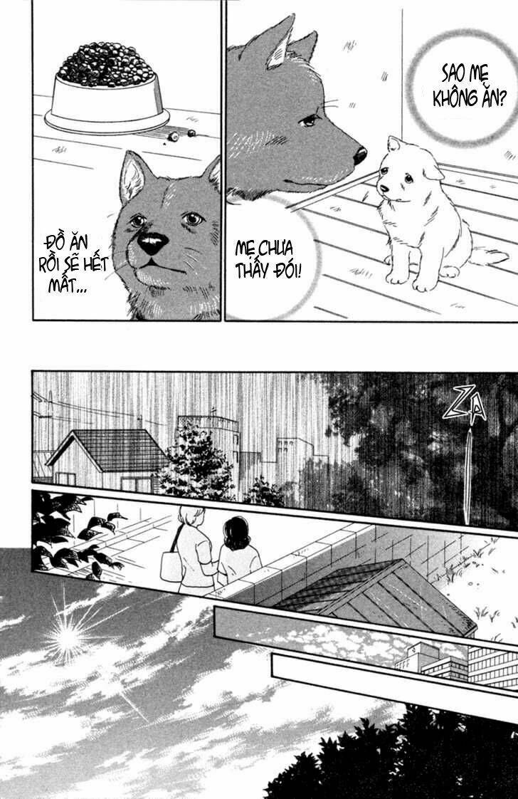 deep love - pao no monogatari chapter 1 17