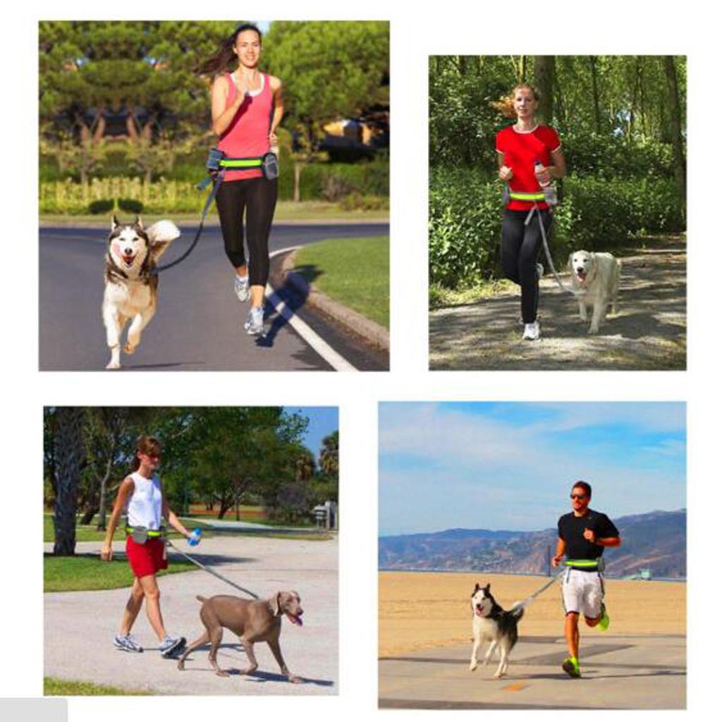 Dog Leash Lead w/ Waist Pouch Handsfree Reflective Buckle Belt Harness