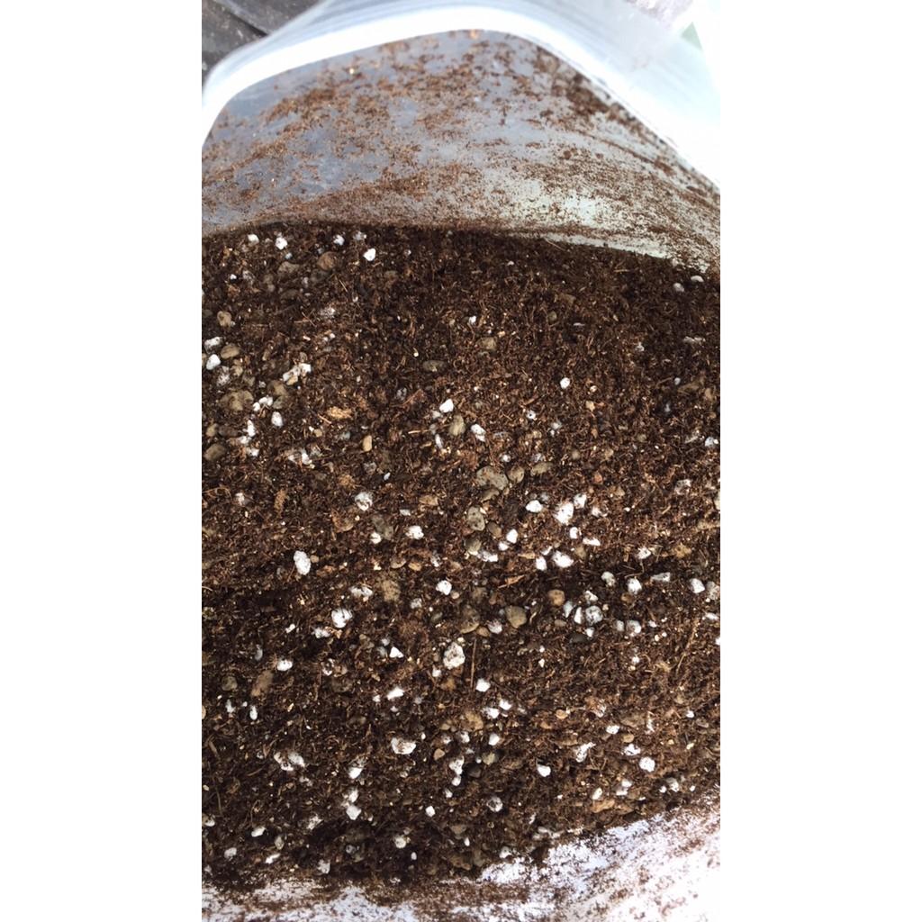 Giá thể trồng sen đá và xương rồng SOIL MIX 15 LÍT
