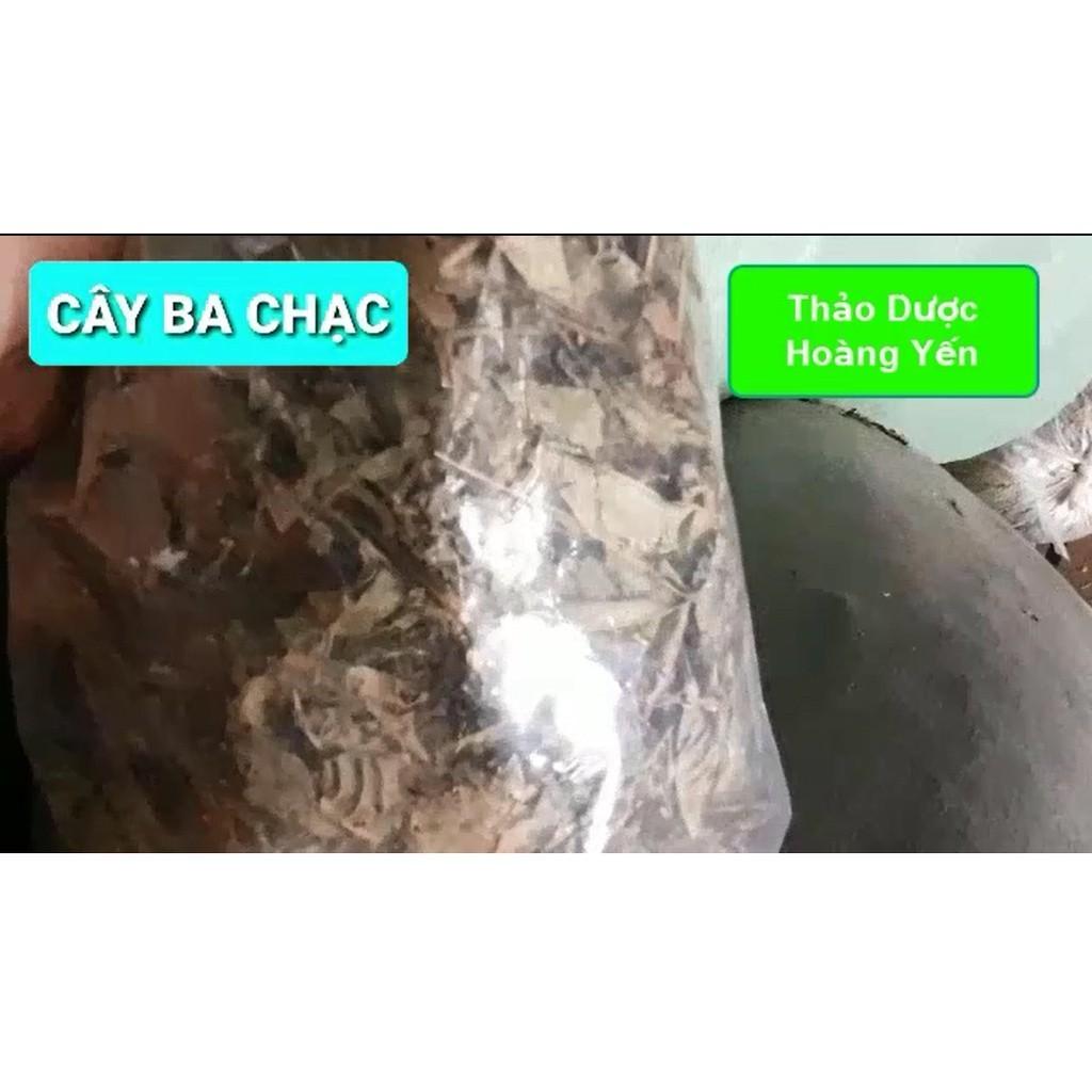 cây ba chạc khô (thân + lá)