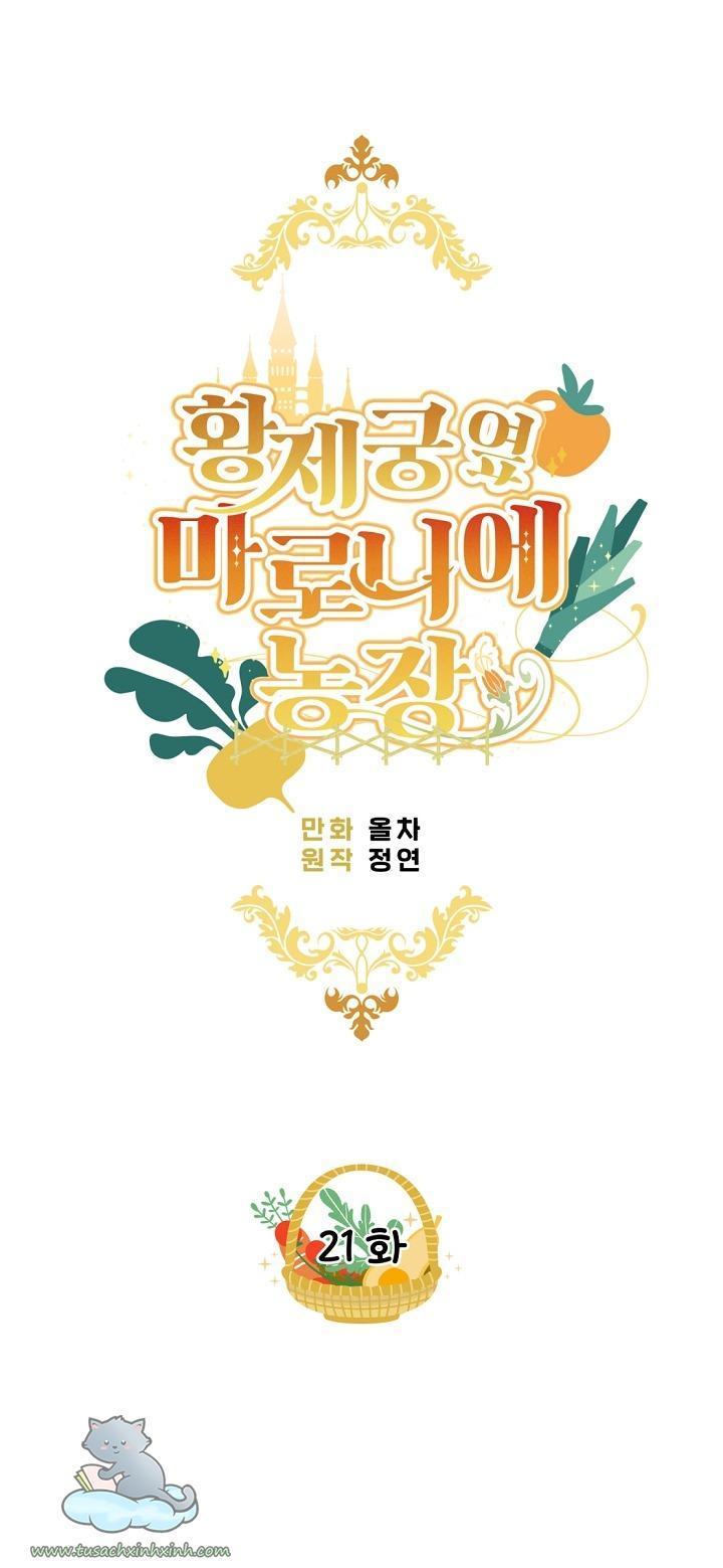 trang trại hạt dẻ cạnh hoàng cung chapter 21 10