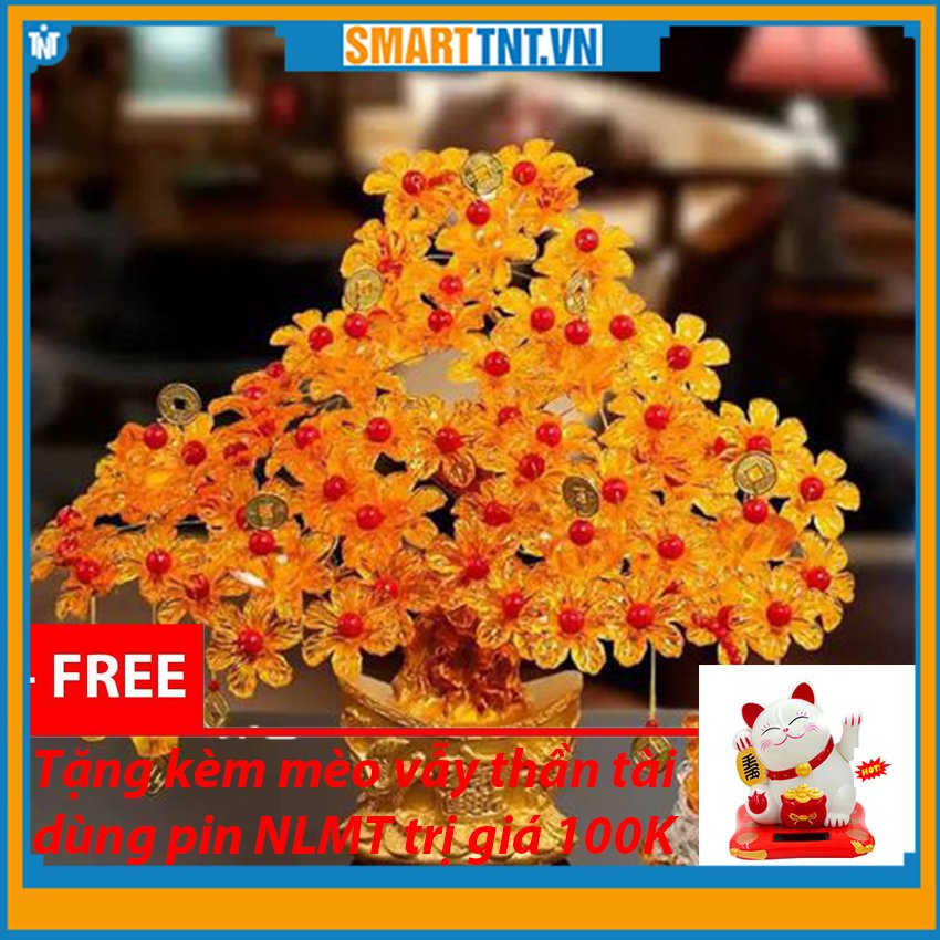 Combo cây kim tiền phát tài phát lộc đế thỏi vàng tặng mèo vẫy thần tài