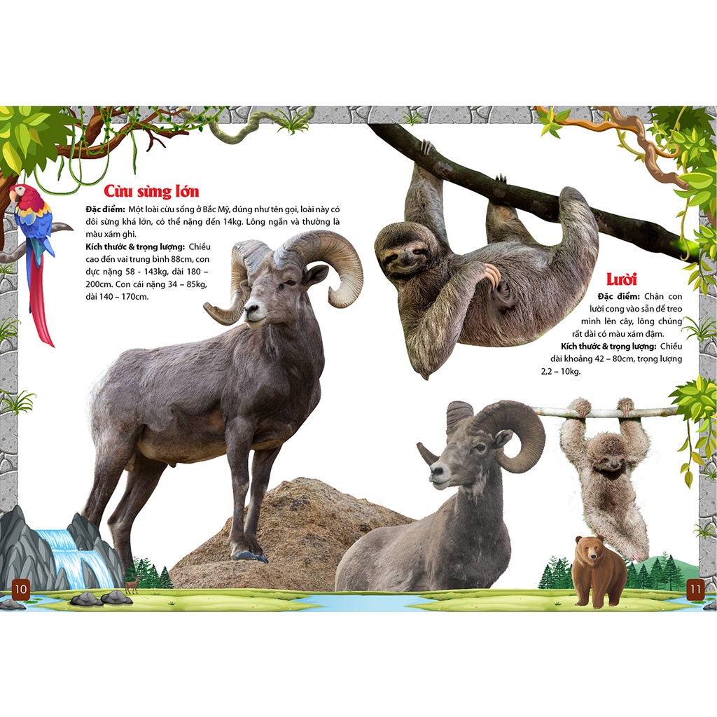 Khám Phá Động Vật 5 Châu Châu Mỹ -