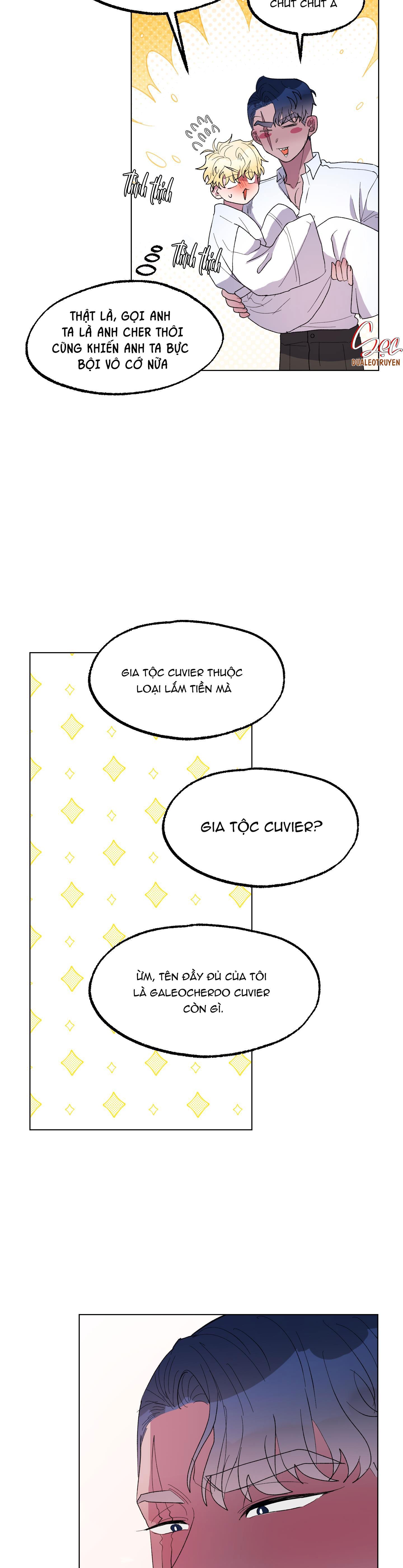 cá mập và cô dâu thỏ chapter 14 30