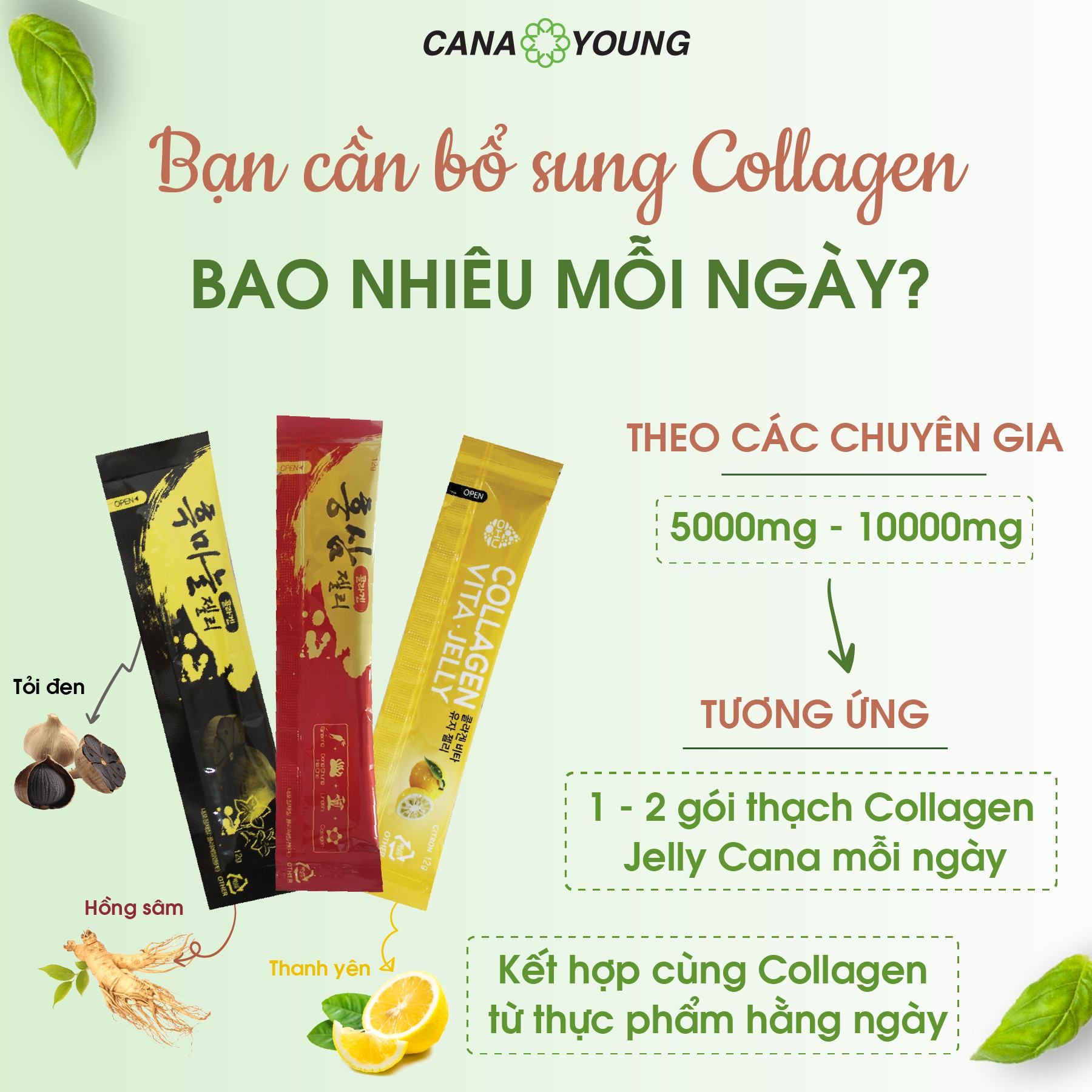 Thạch ăn New Collagen Jelly Cana Young Hàn Quốc hỗ trợ trẻ hóa da và tăng cường hệ miễn dịch (hộp 10 gói