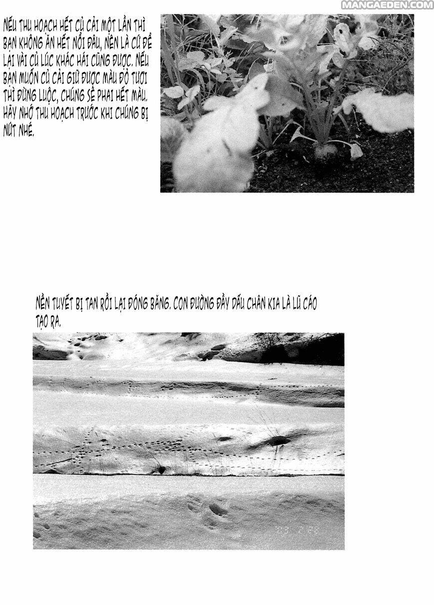 little forest chapter 19 9