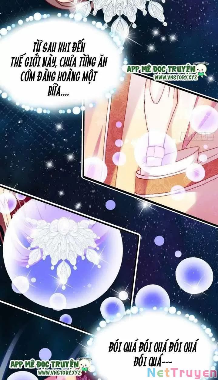 lại bị bệnh chiều chuộng quấn lấy chapter 11 14