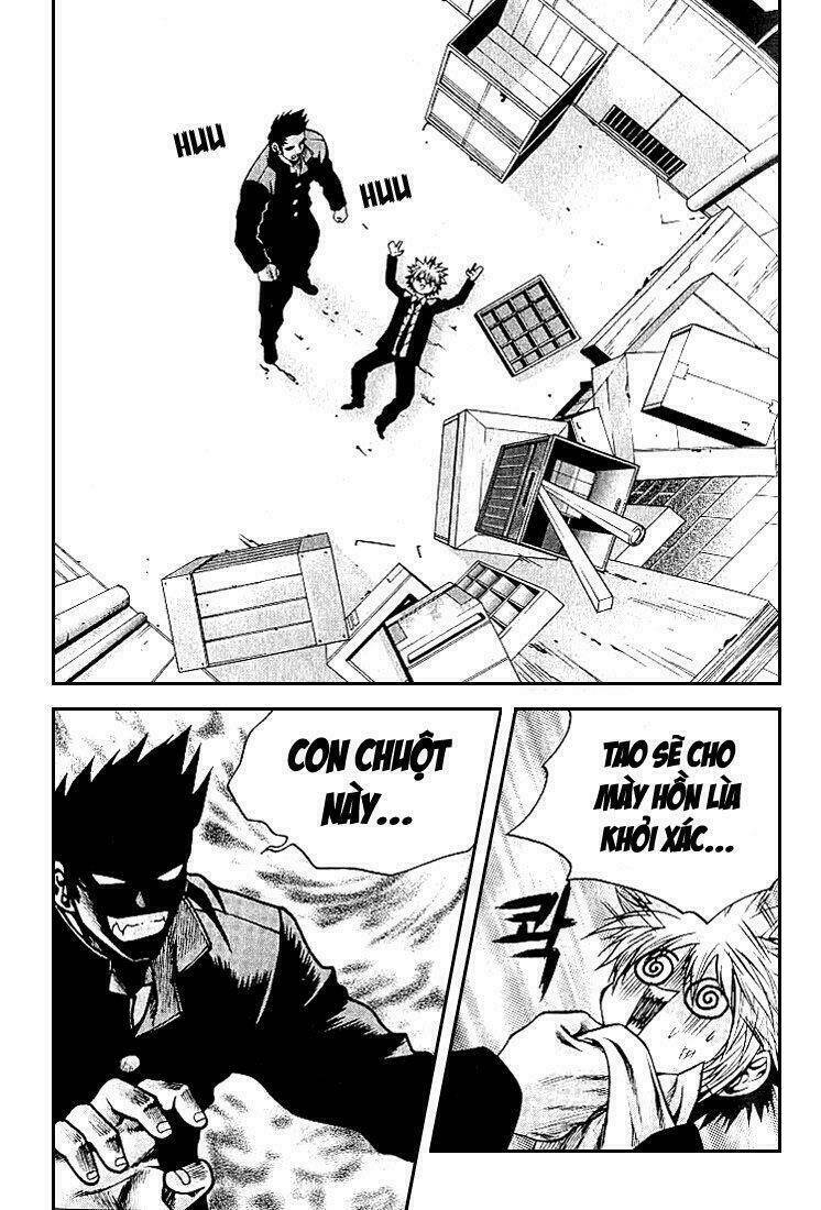 zippy ziggy chapter 10 15