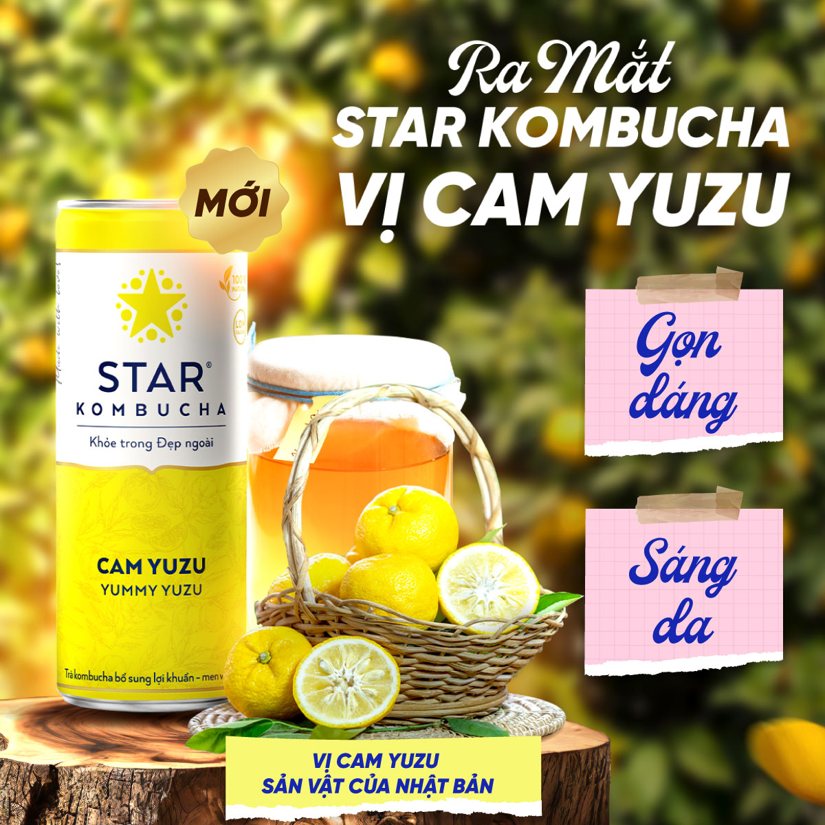 Thùng 12 lon Star Kombucha vị Cam Yuzu/Yummy Yuzu (250ml/lon) - Trà lên men vi sinh chứa probiotics bảo vệ sức khoẻ