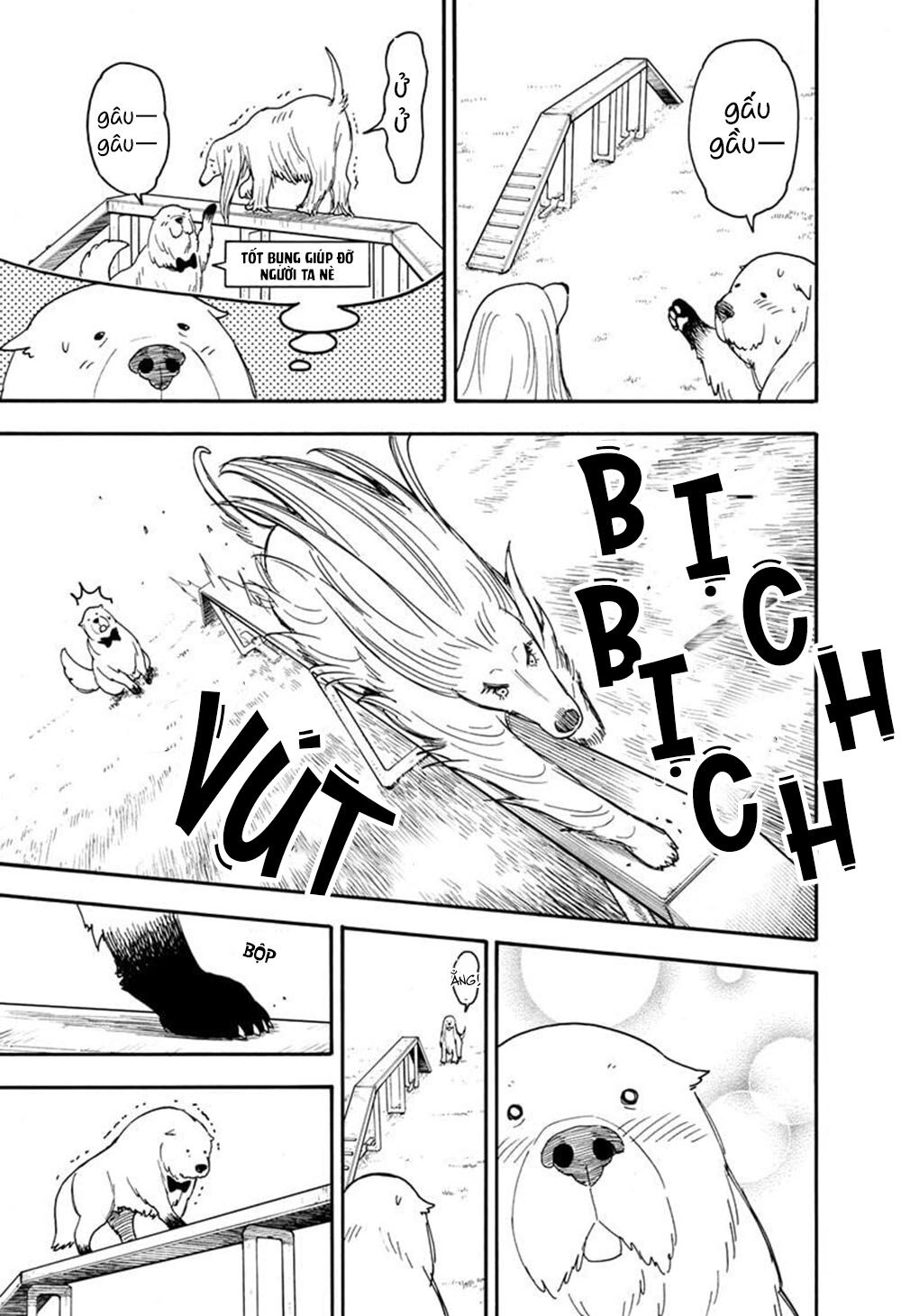 Gia Đình Điệp Viên chapter 62.6 7