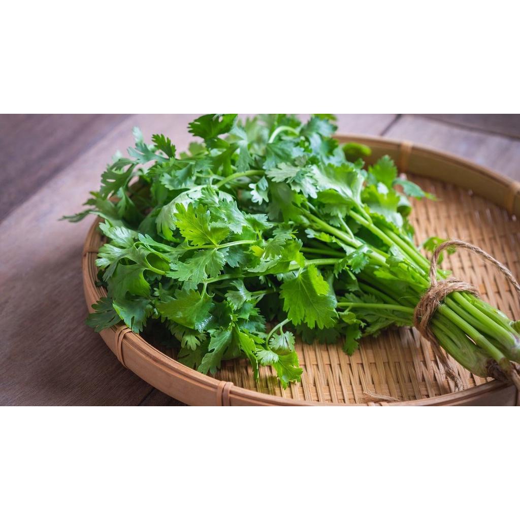 Rau Mùi taTươi Sạch Giao Siêu Tốc 1h