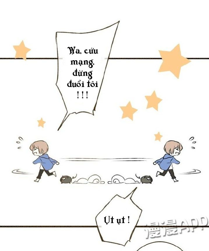 trên trời rớt xuống một hòa thượng ngốc chapter 19 9