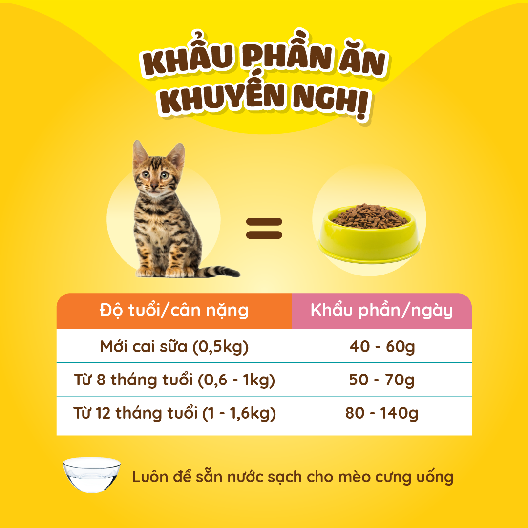 Dr.Kyan - Thức ăn hạt cho mèo nhỏ Feed Plus - Kitten 400g - Vị cá hồi