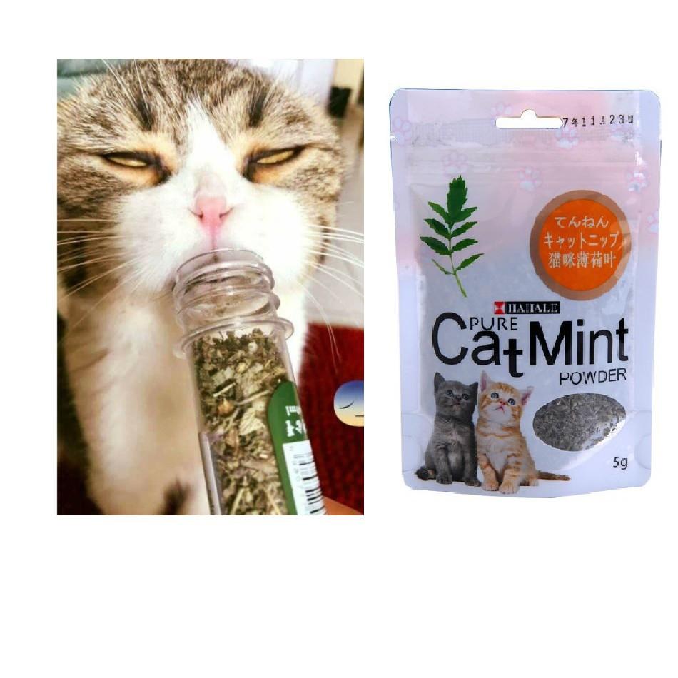 Cỏ mèo ngửi Catnip cỏ bạc hà cho mèo (gói catmin 5gr)