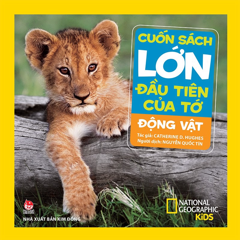 Combo 05 Cuốn sách lớn đầu tiên của tớ: Khủng long, Động vật, Đại dương, Vũ trụ, Chim