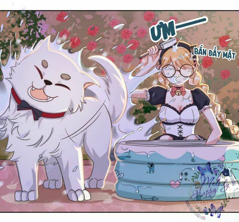 ma lạt thiên kim đẩu ác thiếu chapter 11 18