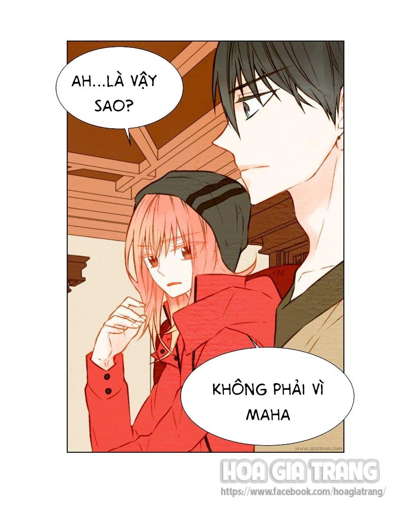 sao chép chapter 23 31