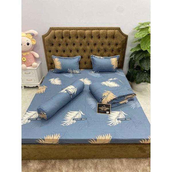 Sét chăn hè 5 món cotton 100%